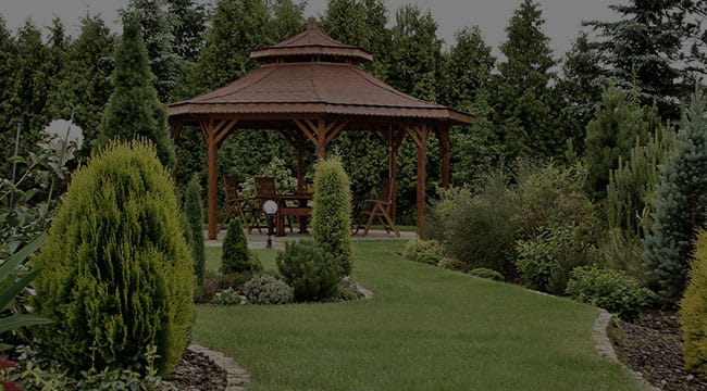 Wayne Garden Design